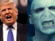 Harry Potter and Donald Trump