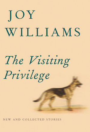 The-Visiting-Privilege